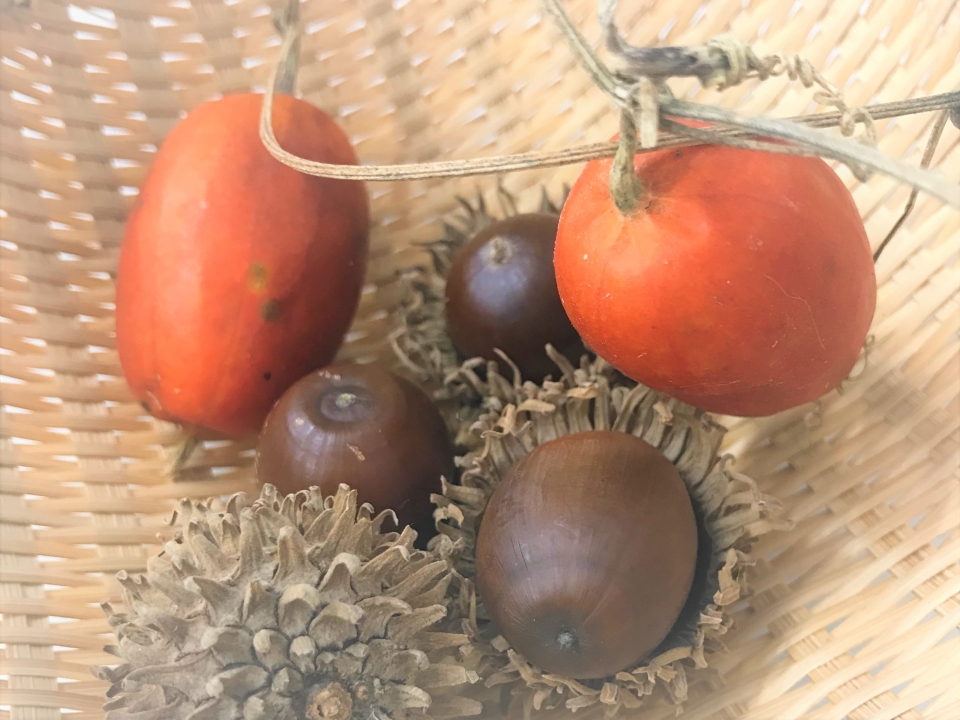 ブログ｜みなみ在宅クリニック